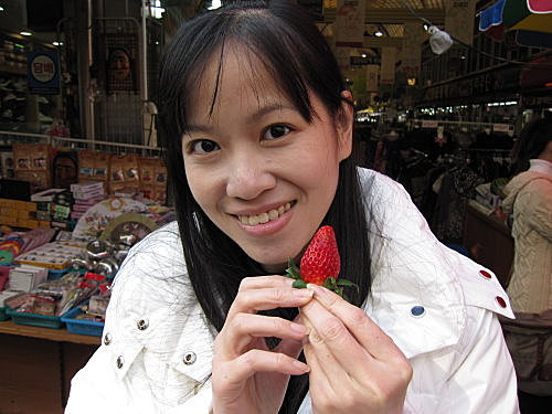 韓國之旅~【PLAY DOCI】滑雪(含雪盆及防風衣)→春川明洞→洛山生命之水溫泉(含溫泉券) 6 韓國之旅~【PLAY DOCI】滑雪(含雪盆及防風衣)→春川明洞→洛山生命之水溫泉(含溫泉券)