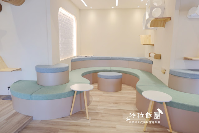 台北擼貓咖啡甜點『擼LALA Sweets松菸店』療癒系超萌小貓 10 台北擼貓咖啡甜點『擼LALA Sweets松菸店』療癒系超萌小貓