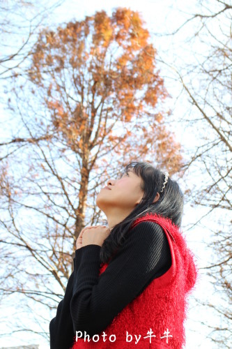 IMG_4590.jpg IMG_4590.jpg