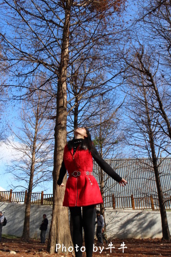 IMG_4587.jpg IMG_4587.jpg