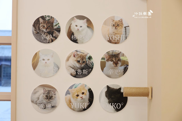 『擼LALA Sweets』宜蘭貓咪甜點咖啡 8 『擼LALA Sweets』宜蘭貓咪甜點咖啡