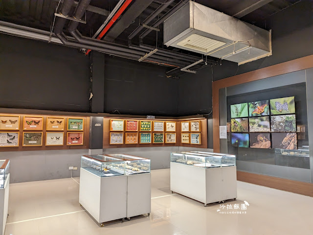 嘉義親子景點『新嘉大昆蟲館』全球唯一旋轉彩蝶柱、蝴蝶溫室花園 59 嘉義親子景點『新嘉大昆蟲館』全球唯一旋轉彩蝶柱、蝴蝶溫室花園