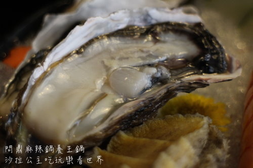 IMG_4335.JPG IMG_4335.JPG