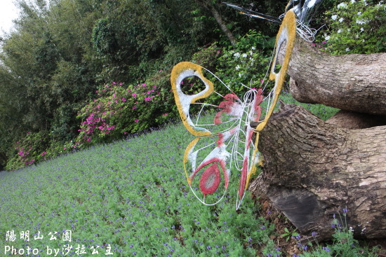 IMG_7068.jpg IMG_7068.jpg