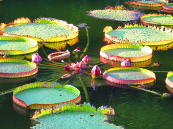 IMG_2734.jpg IMG_2734.jpg