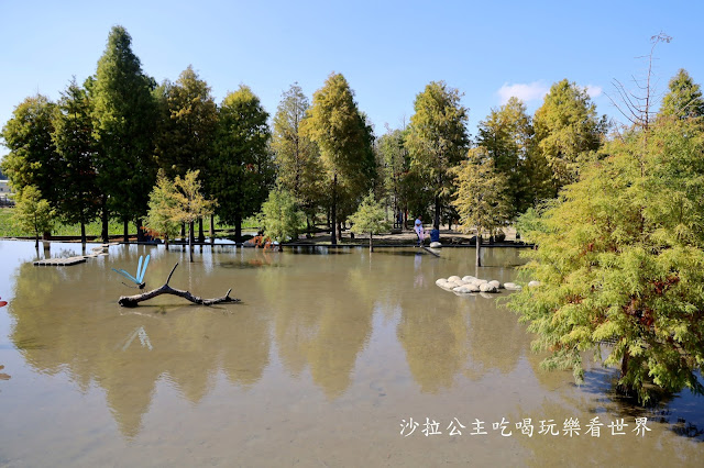 台中落羽松.后里泰安落羽松秘境『羽粼落羽松』裝置藝術像走到畫裡 47 台中落羽松.后里泰安落羽松秘境『羽粼落羽松』裝置藝術像走到畫裡
