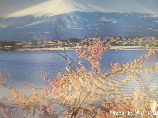 富士之堡華園飯店:富士之堡華園飯店(溫泉飯店) 富士之堡華園飯店:富士之堡華園飯店(溫泉飯店)