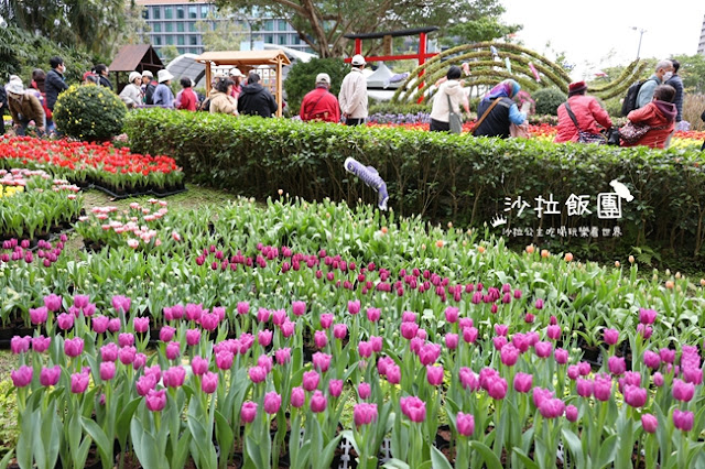 2025士林官邸鬱金香展-愛的遇藝13萬株來自荷蘭和日本鬱金香 13 2025士林官邸鬱金香展-愛的遇藝13萬株來自荷蘭和日本鬱金香