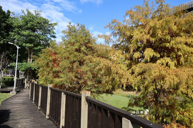 北投奇岩一號公園、落羽松、共融式兒童遊樂場、生態池 4 北投奇岩一號公園、落羽松、共融式兒童遊樂場、生態池