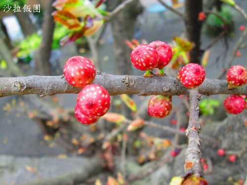 台北自來水源區「公館站」 20 台北自來水源區「公館站」