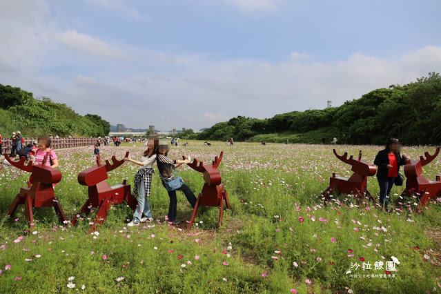 免費入場【2021愛戀關渡花現幸福】5公頃大片花海,北投景點 10 免費入場【2021愛戀關渡花現幸福】5公頃大片花海,北投景點