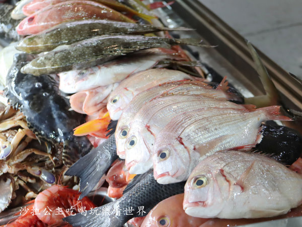 IMG_7237.JPG IMG_7237.JPG