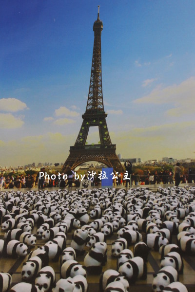 IMG_6583.jpg IMG_6583.jpg