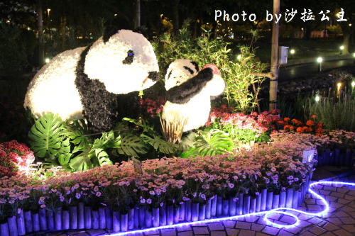 IMG_6565.jpg IMG_6565.jpg