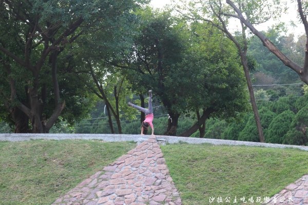 IMG_2772.JPG IMG_2772.JPG