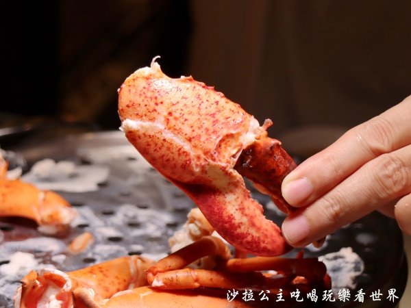 IMG_4381.JPG IMG_4381.JPG