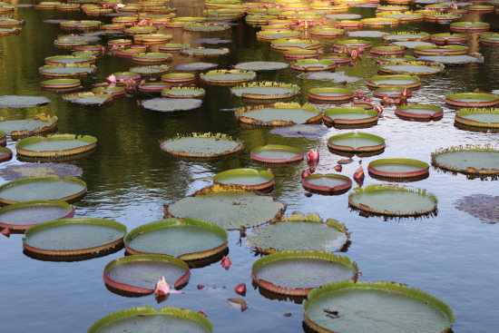 IMG_1247.jpg IMG_1247.jpg