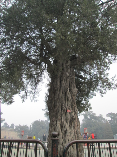 IMG_4090.jpg IMG_4090.jpg