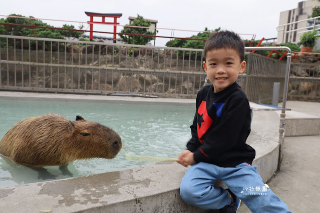 互動綠舞最新萌寵梅花鹿、品嚐無菜單料理、體驗大正文青袴和洋浪漫 61 互動綠舞最新萌寵梅花鹿、品嚐無菜單料理、體驗大正文青袴和洋浪漫