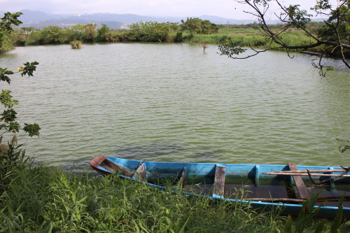 IMG_1169.jpg IMG_1169.jpg