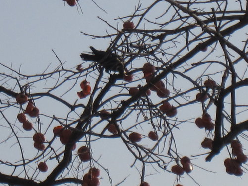 天安門廣場【北京】