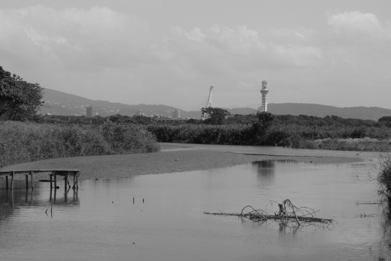 IMG_1163.jpg IMG_1163.jpg