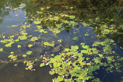 IMG_1187.jpg IMG_1187.jpg