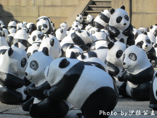 IMG_7344.jpg IMG_7344.jpg