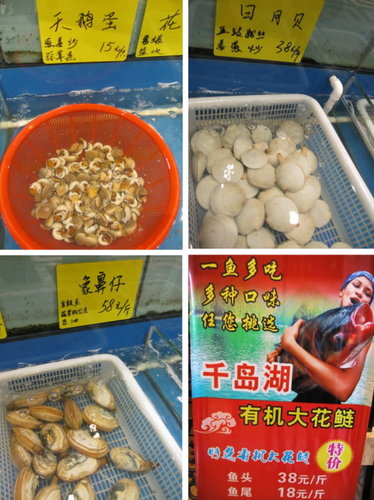 新沈家門風味【上海】 3 新沈家門風味【上海】