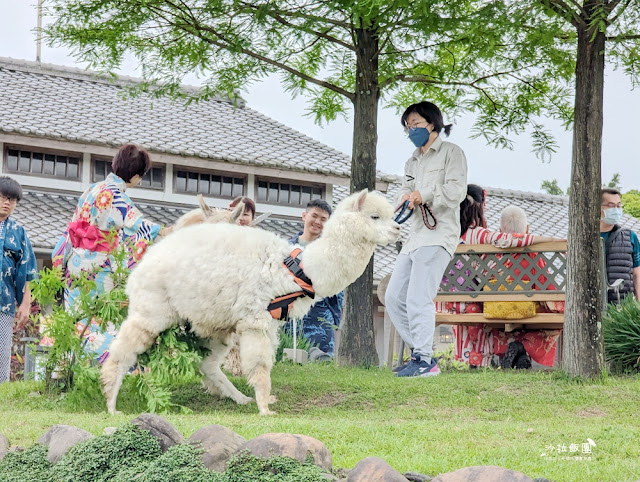 互動綠舞最新萌寵梅花鹿、品嚐無菜單料理、體驗大正文青袴和洋浪漫 65 互動綠舞最新萌寵梅花鹿、品嚐無菜單料理、體驗大正文青袴和洋浪漫