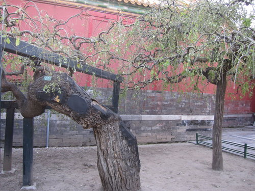 北京旅遊/北京景點『紫禁城』北京故宮 38 北京旅遊/北京景點『紫禁城』北京故宮