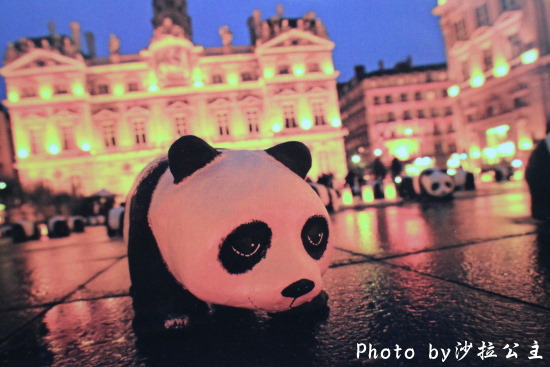 IMG_6590.jpg IMG_6590.jpg