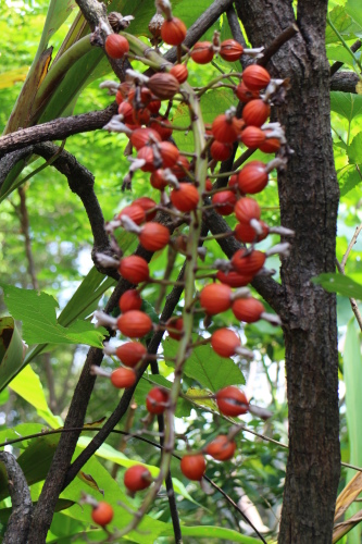 IMG_1179.jpg IMG_1179.jpg