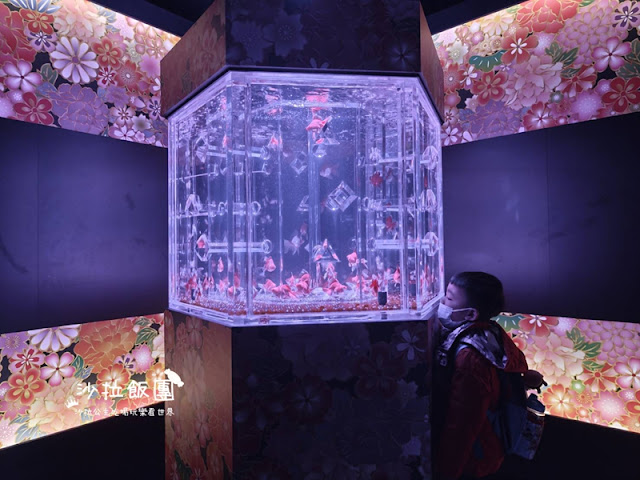 日本東京人氣展覽『金魚藝術展』璀璨登台 15 日本東京人氣展覽『金魚藝術展』璀璨登台
