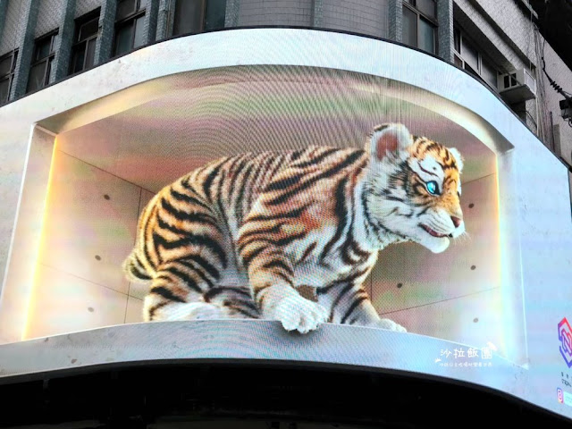 3D萌虎出閘,國慶日當晚台北8個據點,北、中、南通通可以看到 3 3D萌虎出閘,國慶日當晚台北8個據點,北、中、南通通可以看到