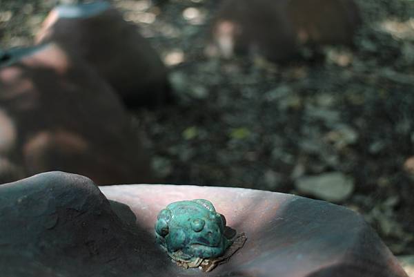 IMG_1194.jpg IMG_1194.jpg