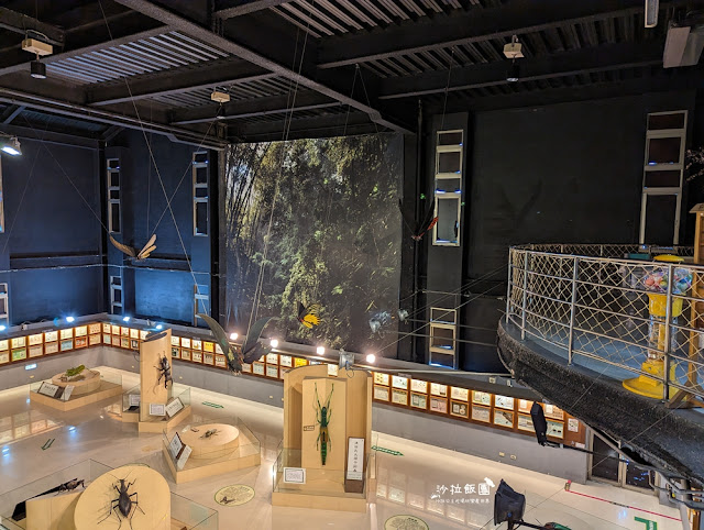 嘉義親子景點『新嘉大昆蟲館』全球唯一旋轉彩蝶柱、蝴蝶溫室花園 58 嘉義親子景點『新嘉大昆蟲館』全球唯一旋轉彩蝶柱、蝴蝶溫室花園