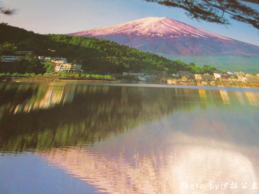 富士之堡華園飯店:富士之堡華園飯店(溫泉飯店) 富士之堡華園飯店:富士之堡華園飯店(溫泉飯店)