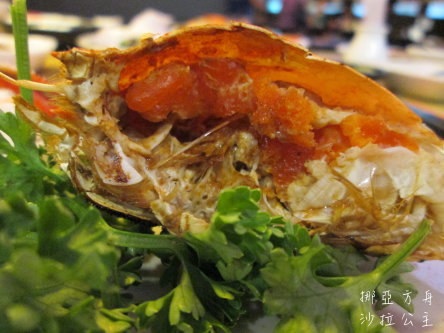 IMG_9134.jpg IMG_9134.jpg