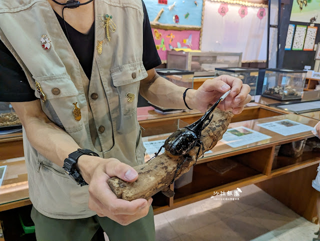 嘉義親子景點『新嘉大昆蟲館』全球唯一旋轉彩蝶柱、蝴蝶溫室花園 25 嘉義親子景點『新嘉大昆蟲館』全球唯一旋轉彩蝶柱、蝴蝶溫室花園