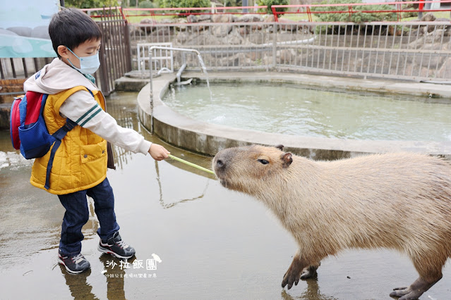 暑假照樣玩翻天、不加價！宜蘭最美親子飯店「綠舞」春夏旅展限時開搶，最低 37 折！早鳥訂房再加碼