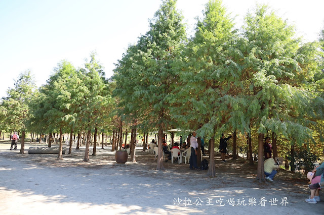 台中落羽松.后里泰安落羽松秘境『羽粼落羽松』裝置藝術像走到畫裡 26 台中落羽松.后里泰安落羽松秘境『羽粼落羽松』裝置藝術像走到畫裡
