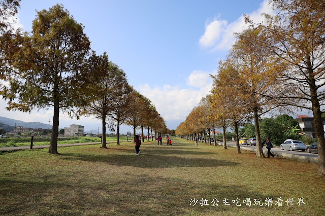 宜蘭三星景點『三星落羽松秘境』安農溪旁/宜蘭落羽松 2 宜蘭三星景點『三星落羽松秘境』安農溪旁/宜蘭落羽松