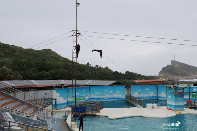 新北萬里景點海豚親親『野柳海洋世界』觸摸池、海底世界探索館