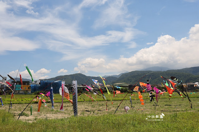 3000株日本波波草超療癒,台版羊角村、大碗公溜滑梯 14 3000株日本波波草超療癒,台版羊角村、大碗公溜滑梯