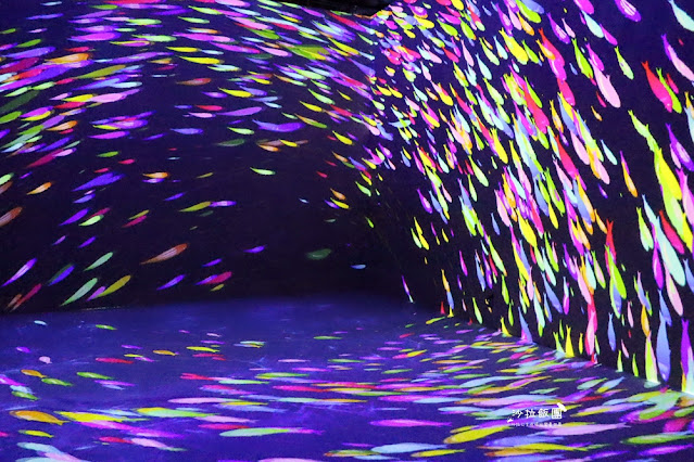 超震撼‼️最強展覽光之影海洋展體驗被海水包圍360°沉浸式光影藝術 14 超震撼‼️最強展覽光之影海洋展體驗被海水包圍360°沉浸式光影藝術