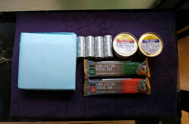 【寵物住宿】寵物友善飯店,毛小孩也要爽爽住 5 【寵物住宿】寵物友善飯店,毛小孩也要爽爽住