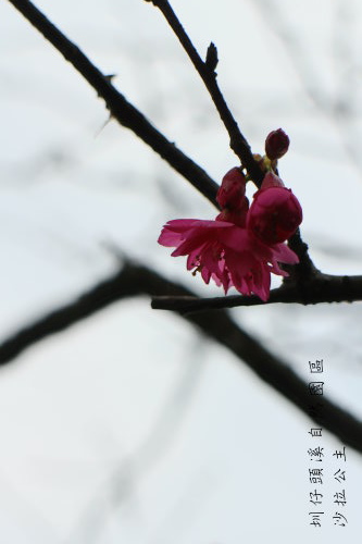 IMG_4095.JPG IMG_4095.JPG