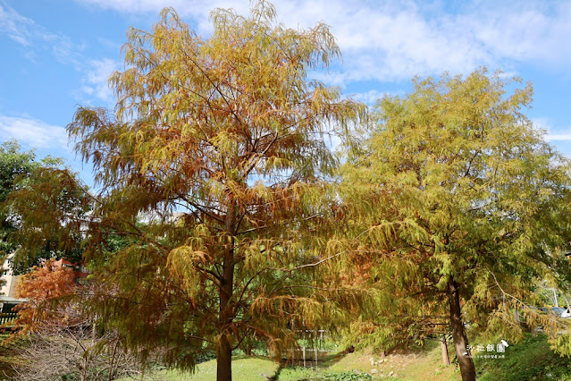 北投奇岩一號公園、落羽松、共融式兒童遊樂場、生態池 43 北投奇岩一號公園、落羽松、共融式兒童遊樂場、生態池