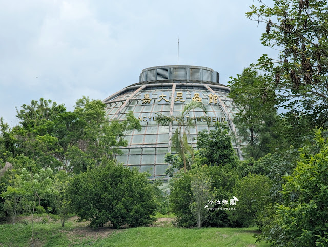 嘉義親子景點『新嘉大昆蟲館』全球唯一旋轉彩蝶柱、蝴蝶溫室花園 2 嘉義親子景點『新嘉大昆蟲館』全球唯一旋轉彩蝶柱、蝴蝶溫室花園